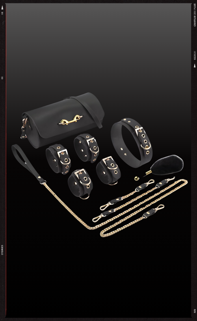 THE PURSE NOIR